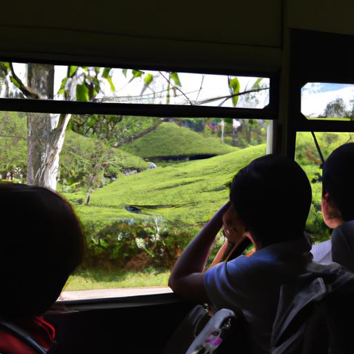 Hành khách thưởng thức cảnh trà đồi núi qua cửa sổ của xe buýt.