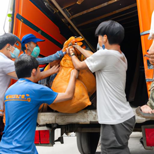 Nhân viên chuyên nghiệp của nhà xe Thanh Tùng Quỳ Hợp Hải Phòng đang xếp hàng lên xe tải